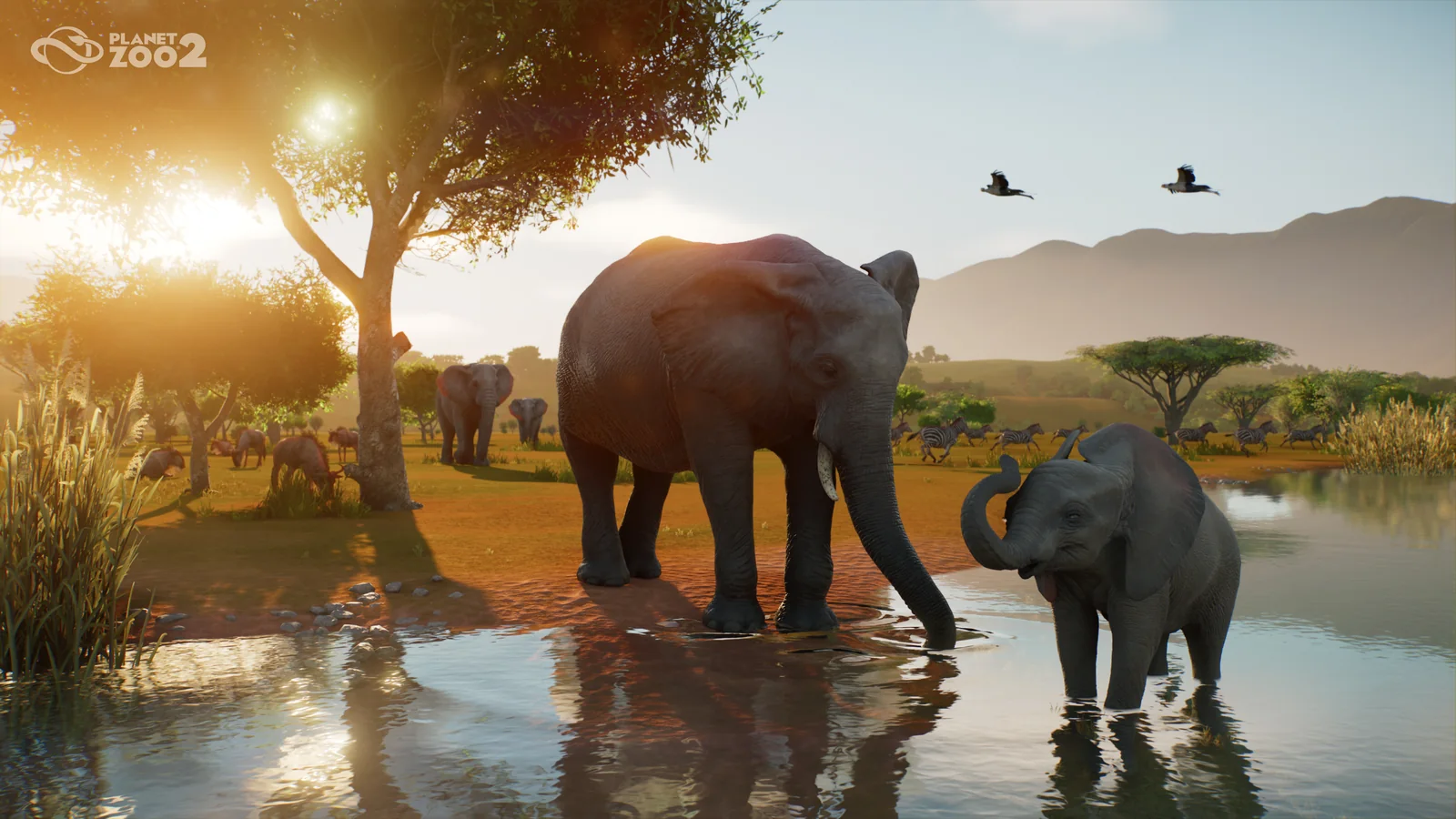 Animals gathered around a watering hole in a broad wildlife reserve